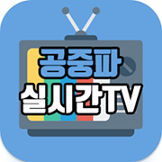 공중파 실시간TV